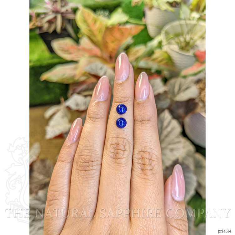 1.60 Ct.Tw. Cabochon Lapis Pair from Afghanistan