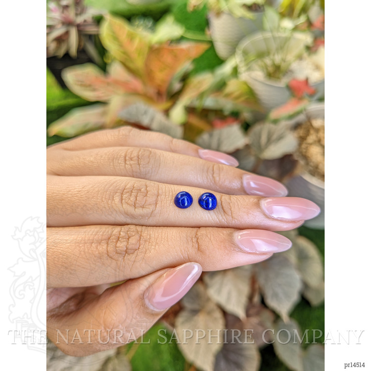 1.60 Ct.Tw. Cabochon Lapis Pair from Afghanistan