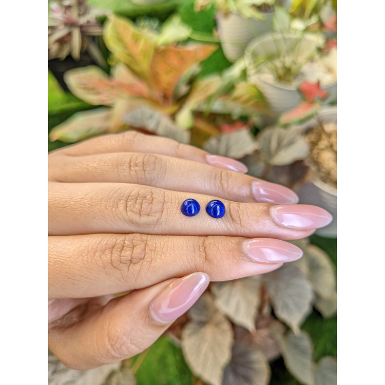 1.60 Ct.Tw. Cabochon Lapis Pair from Afghanistan