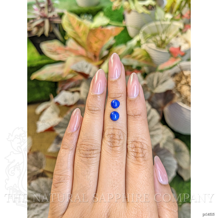 1.67 Ct.Tw. Cabochon Lapis Pair from Afghanistan