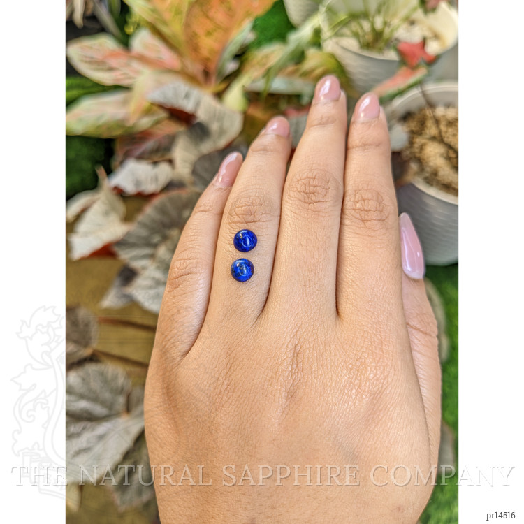1.92 Ct.Tw. Cabochon Lapis Pair from Afghanistan