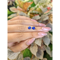 1.92 Ct.Tw.Total Carat Weight Cabochon Lapis Pair from Afghanistan Life Style