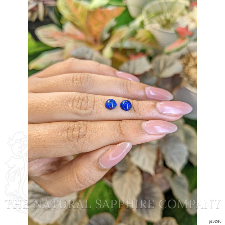 1.92 Ct.Tw. Cabochon Lapis Pair from Afghanistan