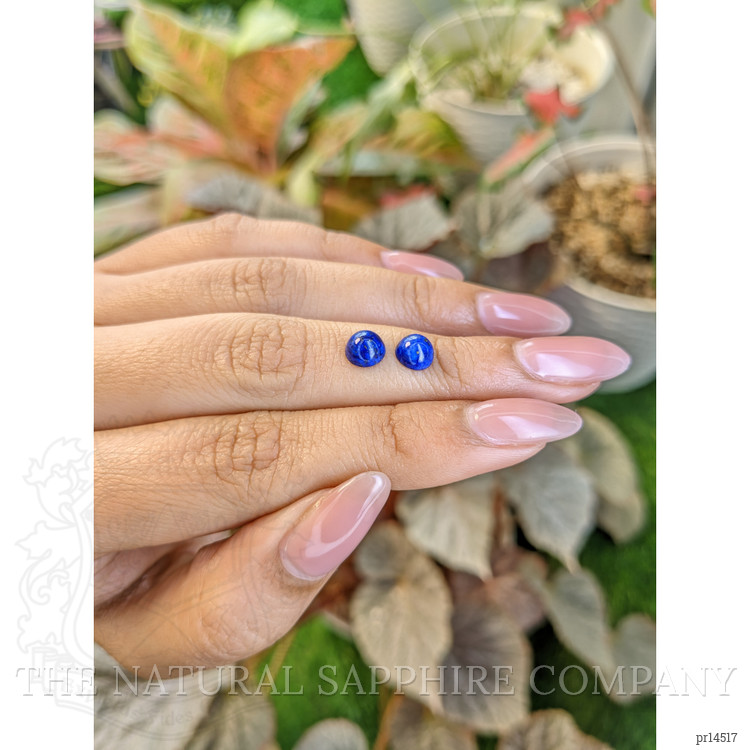 2.03 Ct.Tw. Cabochon Lapis Pair from Afghanistan