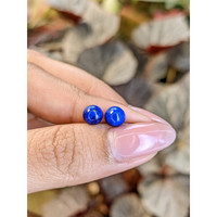 1.80 Ct.Tw.Total Carat Weight Cabochon Lapis Pair from Afghanistan Life Style