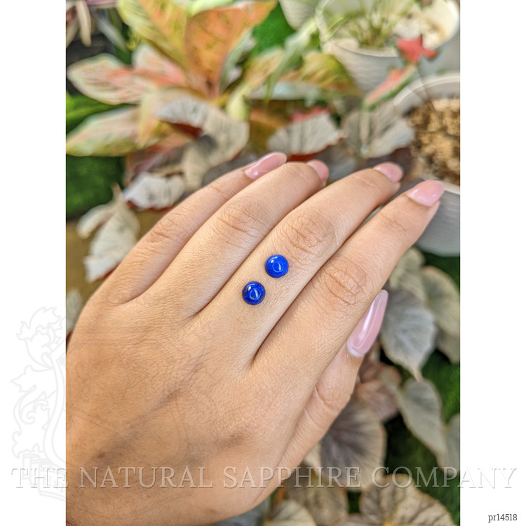 1.80 Ct.Tw. Cabochon Lapis Pair from Afghanistan