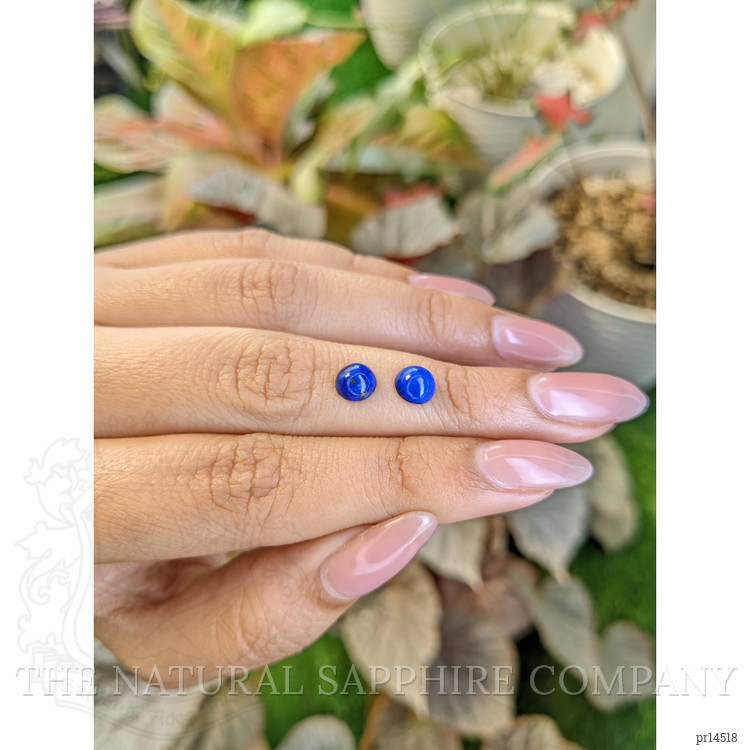 1.80 Ct.Tw. Cabochon Lapis Pair from Afghanistan