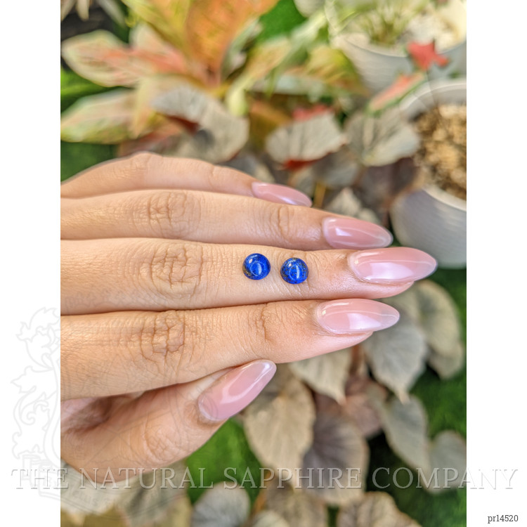 1.96 Ct.Tw. Cabochon Lapis Pair from Afghanistan