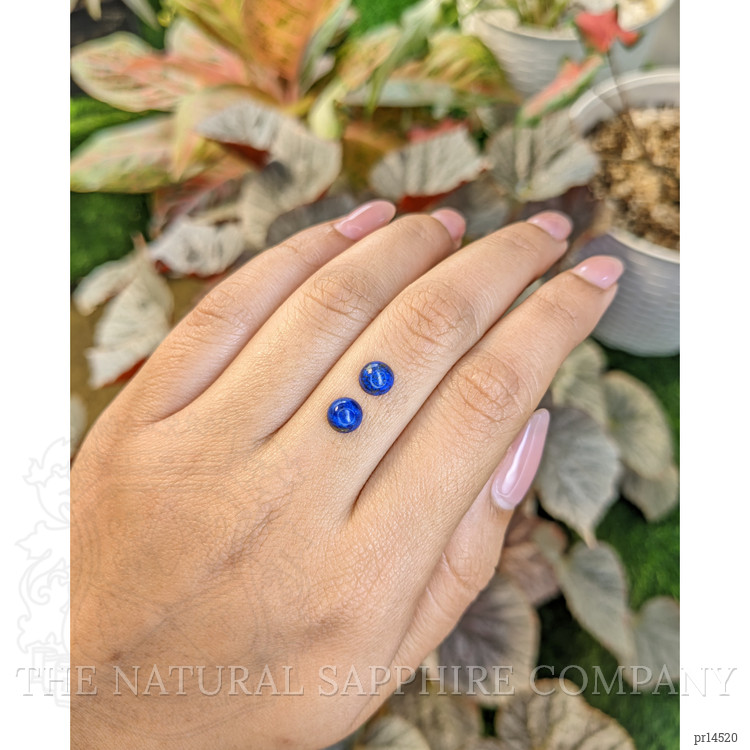 1.96 Ct.Tw. Cabochon Lapis Pair from Afghanistan