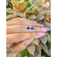 1.88 Ct.Tw.Total Carat Weight Cabochon Lapis Pair from Afghanistan Life Style