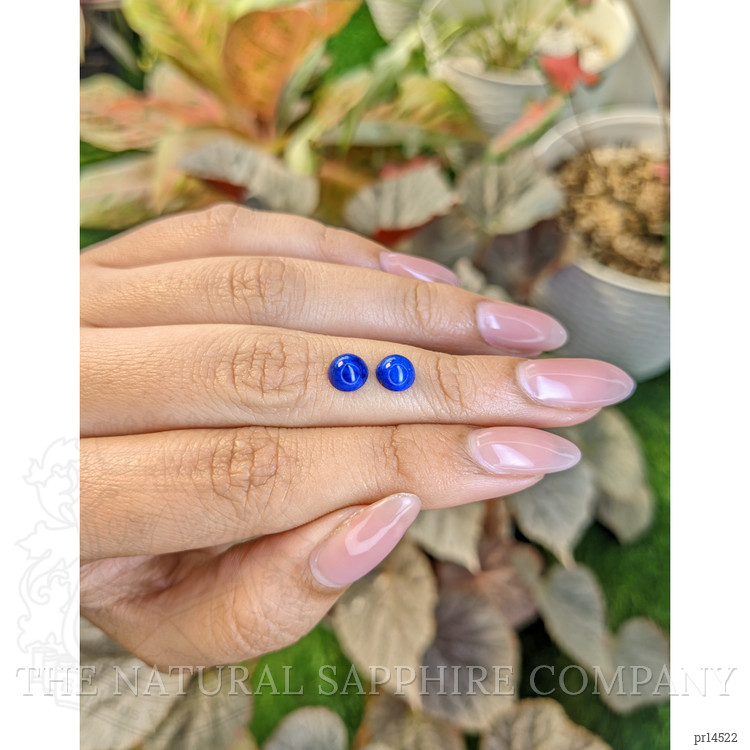 1.85 Ct.Tw. Cabochon Lapis Pair from Afghanistan