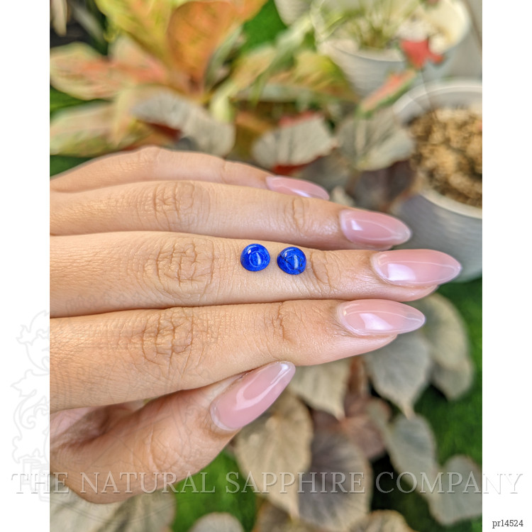 1.87 Ct.Tw. Cabochon Lapis Pair from Afghanistan