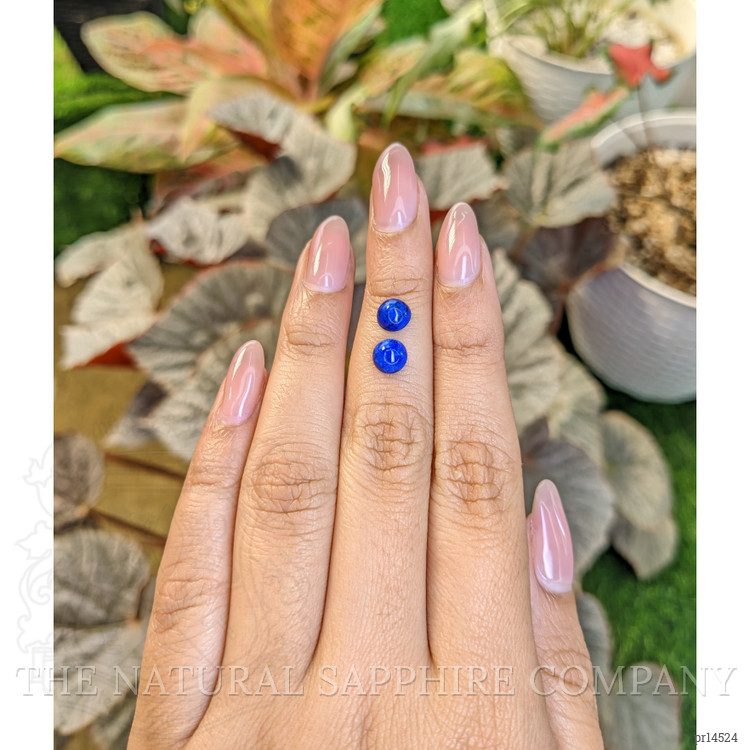 1.87 Ct.Tw. Cabochon Lapis Pair from Afghanistan