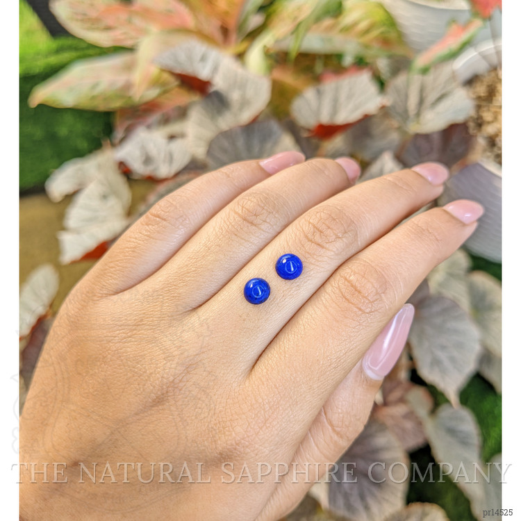 1.98 Ct.Tw. Cabochon Lapis Pair from Afghanistan