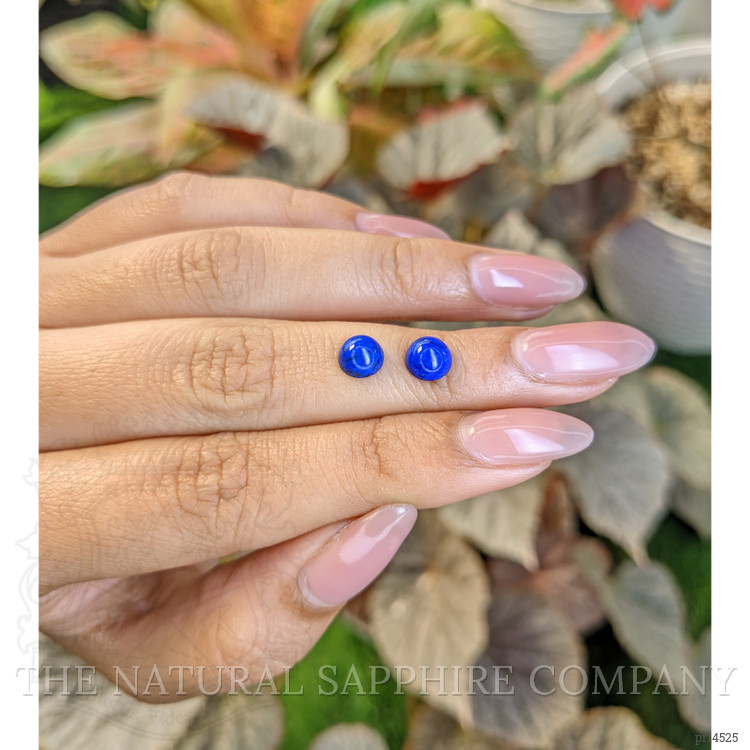 1.98 Ct.Tw. Cabochon Lapis Pair from Afghanistan