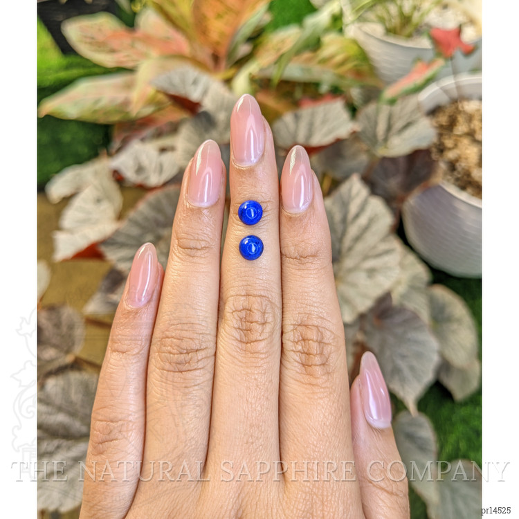 1.98 Ct.Tw. Cabochon Lapis Pair from Afghanistan