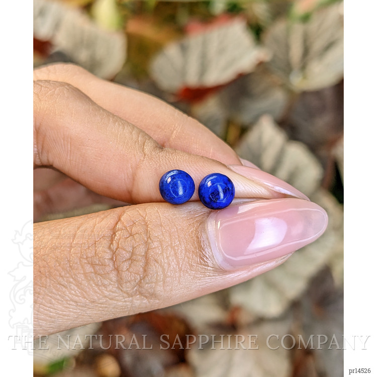 1.90 Ct.Tw. Cabochon Lapis Pair from Afghanistan