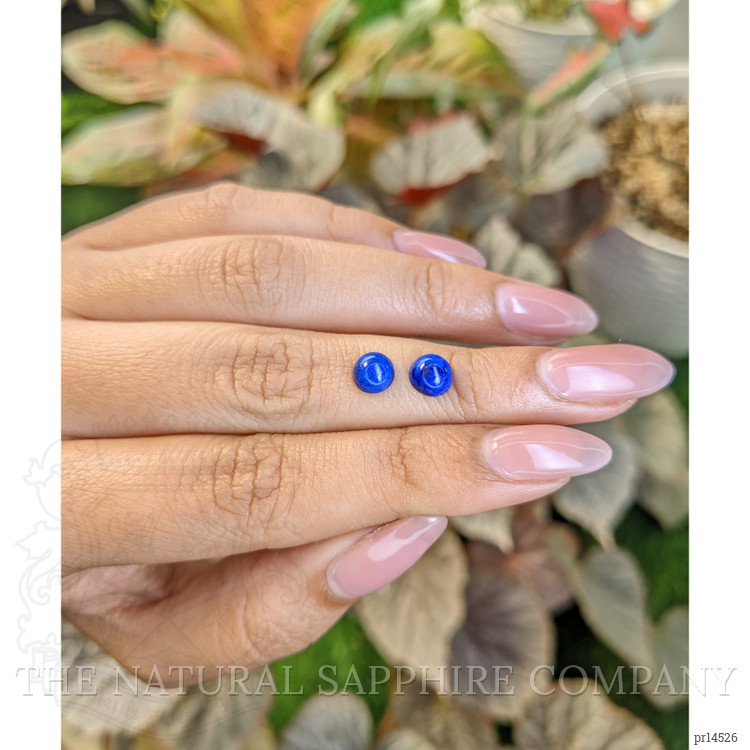 1.90 Ct.Tw. Cabochon Lapis Pair from Afghanistan
