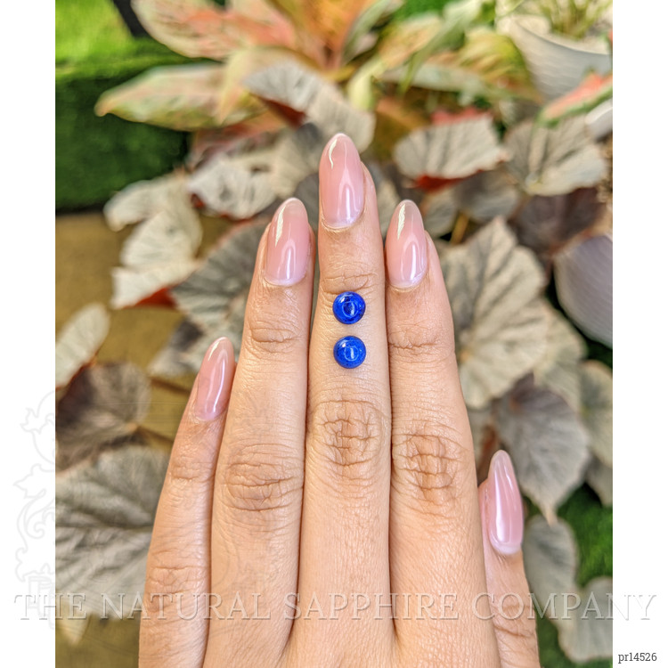 1.90 Ct.Tw. Cabochon Lapis Pair from Afghanistan