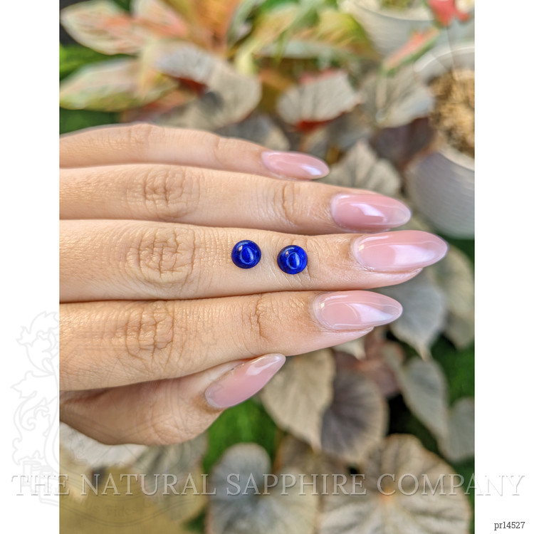 1.79 Ct.Tw. Cabochon Lapis Pair from Afghanistan