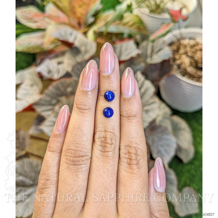 1.79 Ct.Tw. Cabochon Lapis Pair from Afghanistan