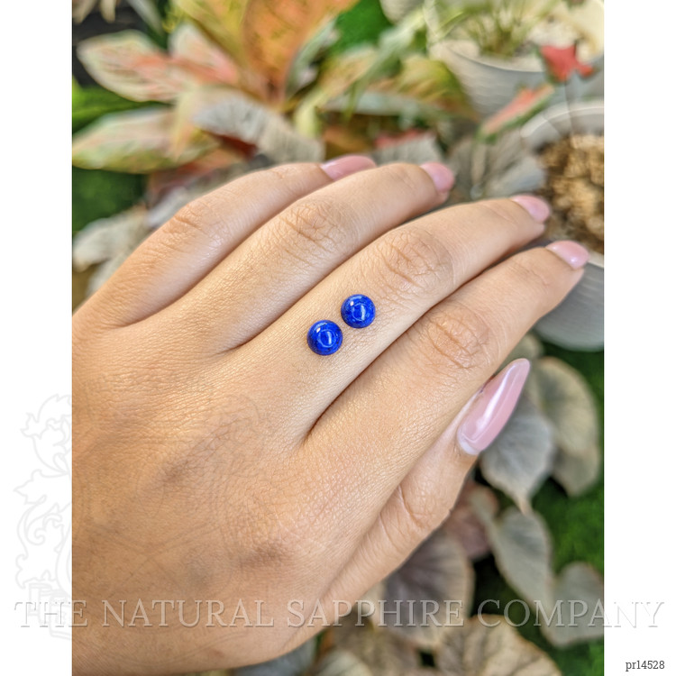 1.77 Ct.Tw. Cabochon Lapis Pair from Afghanistan