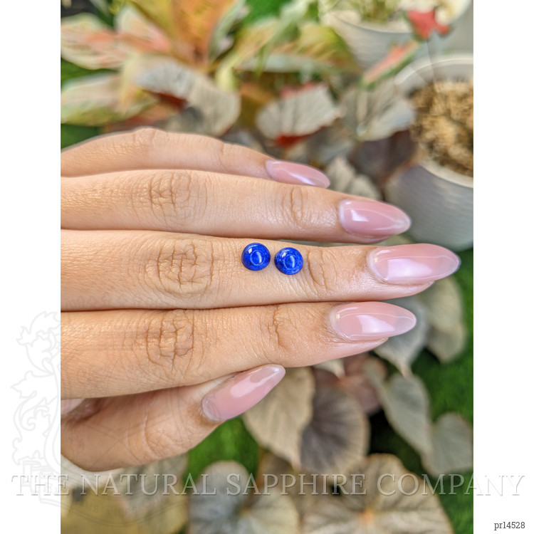 1.77 Ct.Tw. Cabochon Lapis Pair from Afghanistan