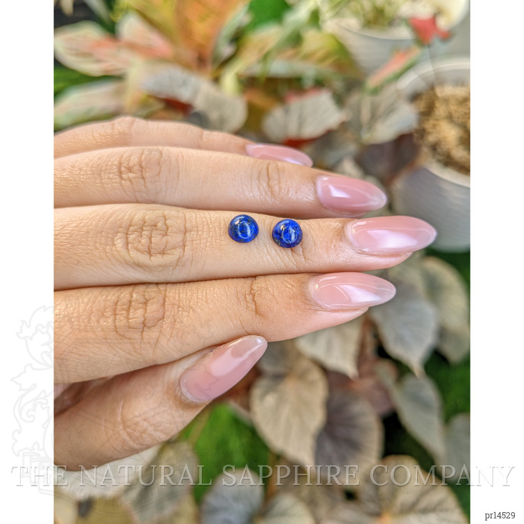 2.09 Ct.Tw. Cabochon Lapis Pair from Afghanistan