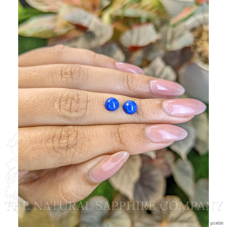 1.85 Ct.Tw. Cabochon Lapis Pair from Afghanistan