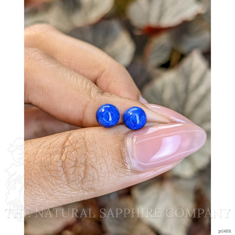 1.92 Ct.Tw. Cabochon Lapis Pair from Afghanistan