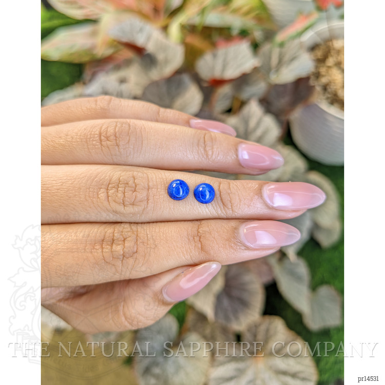 1.92 Ct.Tw. Cabochon Lapis Pair from Afghanistan