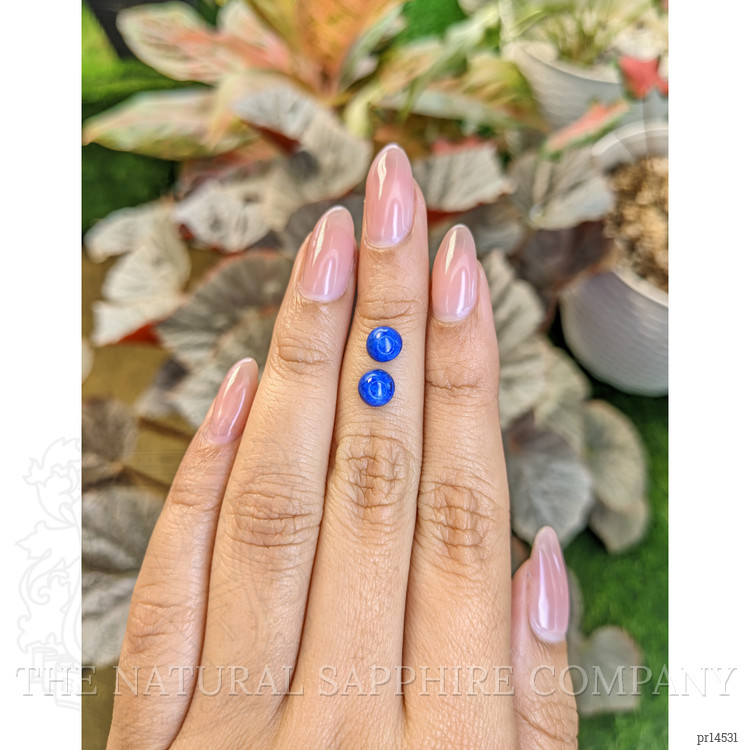 1.92 Ct.Tw. Cabochon Lapis Pair from Afghanistan