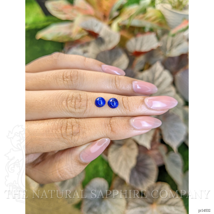 1.86 Ct.Tw. Cabochon Lapis Pair from Afghanistan