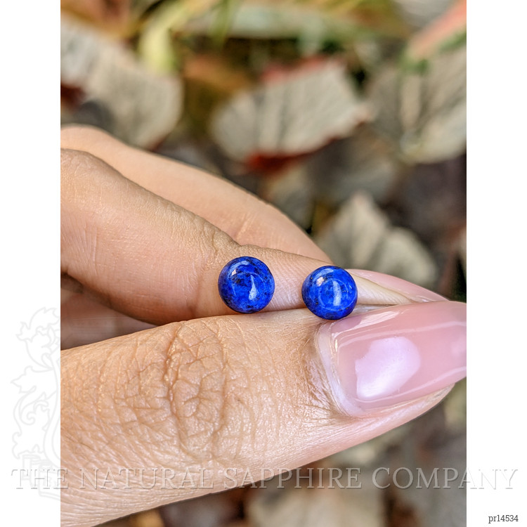 1.85 Ct.Tw. Cabochon Lapis Pair from Afghanistan