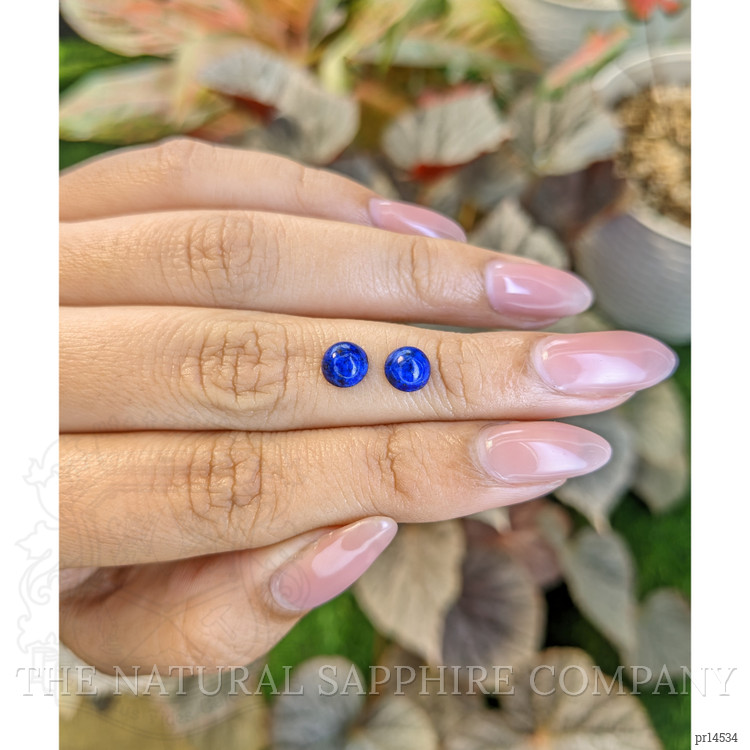 1.85 Ct.Tw. Cabochon Lapis Pair from Afghanistan