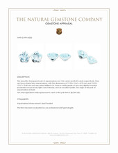 15.58 Ct.Tw.Total Carat Weight Blue Aquamarine Pair from Brazil Appraisal