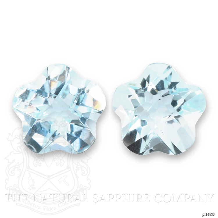 15.58 Ct.Tw. Blue Aquamarine Pair from Brazil