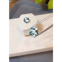 15.58 Ct.Tw.Total Carat Weight Blue Aquamarine Pair from Brazil Life Style