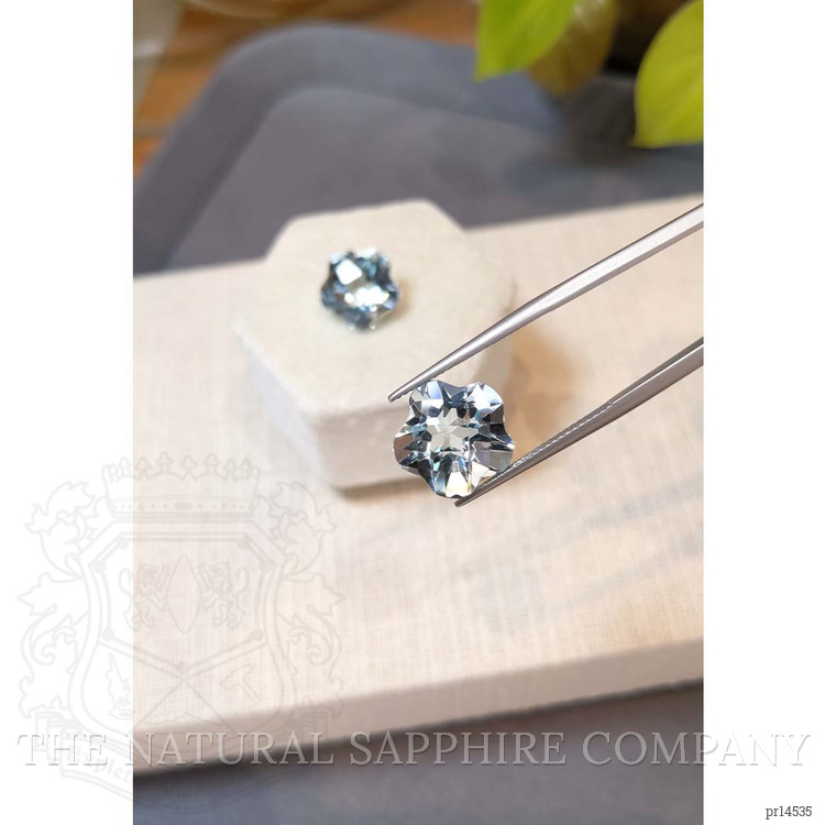 15.58 Ct.Tw. Blue Aquamarine Pair from Brazil