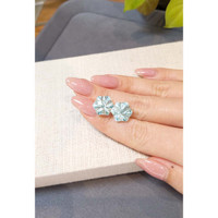 13.68 Ct.Tw.Total Carat Weight Blue Aquamarine Pair from Brazil Life Style