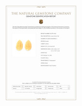 6.01 Ct.Tw.Total Carat Weight Yellow Citrine Pair from Brazil Scan Report