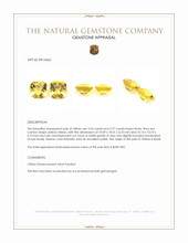 7.32&nbsp;Ct.Tw.Total Carat Weight Yellow Citrine Pair from Brazil Appraisal