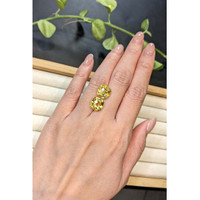 7.32 Ct.Tw.Total Carat Weight Yellow Citrine Pair from Brazil Life Style