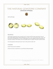 17.83 Ct.Tw.Total Carat Weight Yellow Quartz Pair from Brazil Appraisal