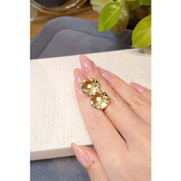 17.83&nbsp;Ct.Tw.Total Carat Weight Yellow Quartz Pair from Brazil Life Style