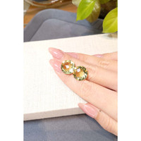 17.83&nbsp;Ct.Tw.Total Carat Weight Yellow Quartz Pair from Brazil Life Style