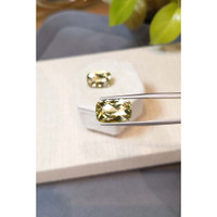 14.69 Ct.Tw.Total Carat Weight Yellow Quartz Pair from Brazil Life Style