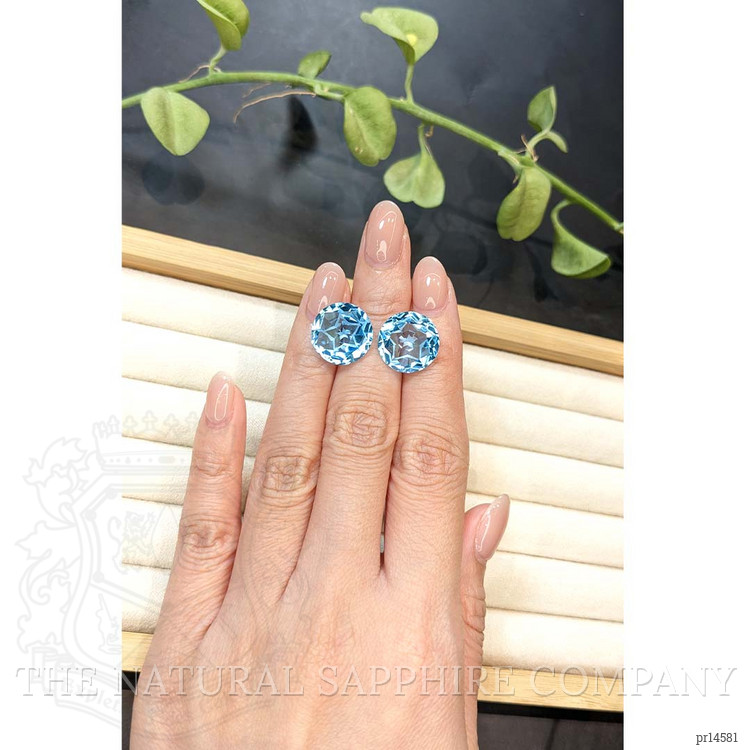 19.93 Ct.Tw. Swiss Blue Topaz Pair from Brazil