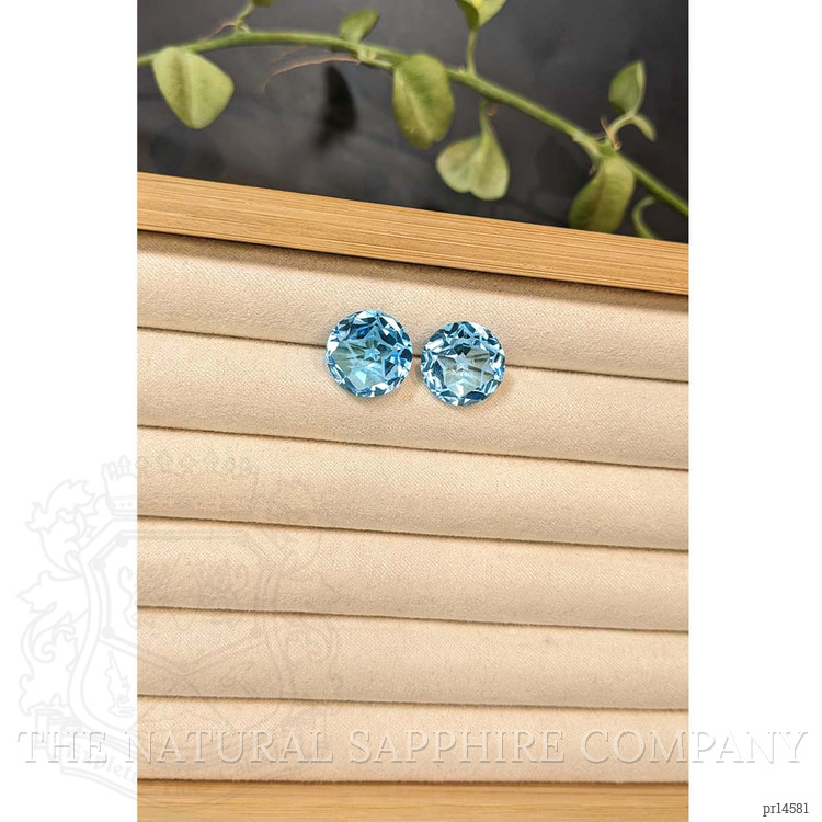 19.93 Ct.Tw. Swiss Blue Topaz Pair from Brazil
