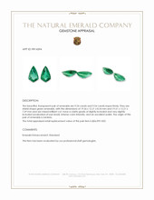 19.08 Ct.Tw.Total Carat Weight Emerald Pair from Zambia Appraisal